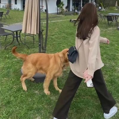 我们的英摇时光